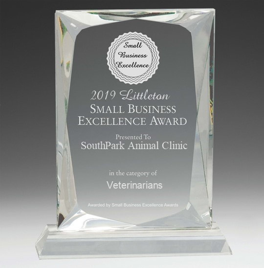 2019 Excellence Award