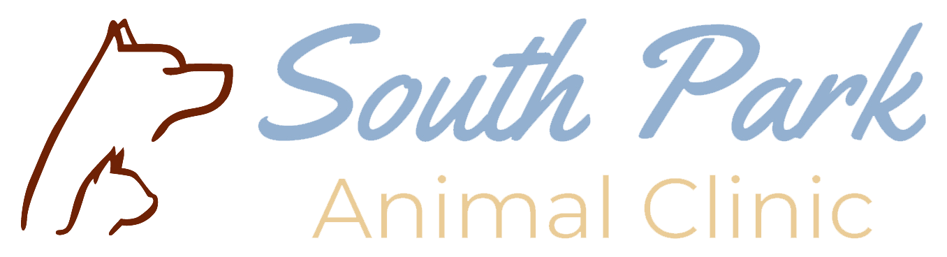 south park animal hospital reviews