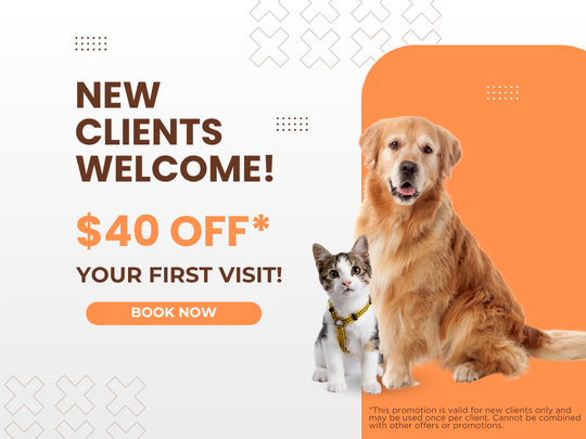 $40 off (2) SouthPark Animal Clinic Reviews
