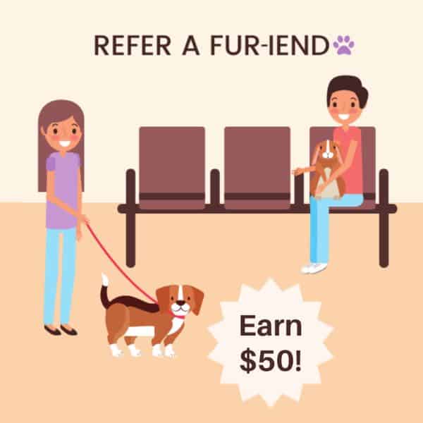 Refer-a-fur-iend-graphics SouthPark Animal Clinic Reviews